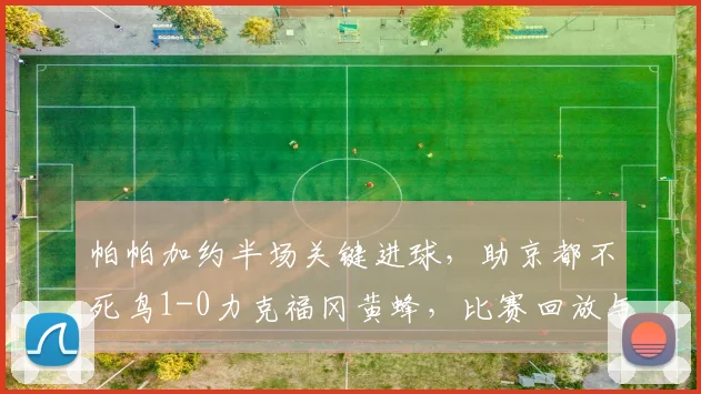 帕帕加约半场关键进球，助京都不死鸟1-0力克福冈黄蜂，比赛回放与分析